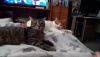 20220529_214745.thumb.jpg.9c01424d3963e012e9b40493af80c686.jpg