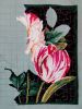 2071235092_78_Dim_Tulipdrama_20_26_11_2021.thumb.JPG.d51b5b0b66eeb005df59f0d1cbd32db0.JPG