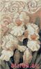 22914.thumb.jpg.cadda34d4491a356ce9249bfd33ffad2.jpg