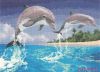 Heritage 1084, Dolphins