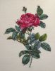 4.jpg.025db66c1e622de8387e2a3c198a431b.thumb.jpg.e9005088be523cdd16d401dde63c288e.jpg