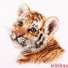 53715.thumb.jpg.d44bf58c7472a8e970950af0dea4a2a5.jpg