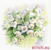 545DE938-BE78-4913-A370-11EC89CA8496.thumb.jpeg.3c93dc941d2c047fa27e1b6a662e3017.jpeg