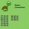 564479167_8.thumb.jpeg.7eb3eee8b73e1e1eb1f37f0ffe249747.jpeg