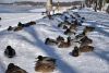 70136-14-news-image.thumb.jpg.12f2602617b7b10ad3039455e62b1be5.jpg