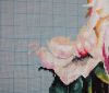 856037071_78_Dim_Tulipdrama_25_11_05_2022.thumb.JPG.b6d0d73f3865ed766c22ead33f16470b.JPG