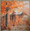AutumnDeer18.thumb.JPG.9c017872f6b4ae78372766e001c92b7b.JPG