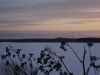 DSC00546.thumb.jpg.c358d028debd6cf72d087f50a7d5757a.jpg
