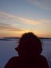 DSC00552.thumb.jpg.ca7613175be9e6444aa0ce256fc75ab0.jpg
