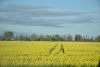 DSC_6840.thumb.JPG.cbe877c4acc277049d2c51949190d235.JPG
