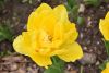 DSC_7298.thumb.JPG.ea1772ad5c7a311d954d4ea99ee44bf4.JPG