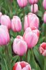 DSC_7316.thumb.JPG.e12dbd9a103ebda7397bf67dc8fde524.JPG