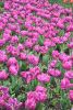 DSC_7327.thumb.JPG.085039b7c7908c3043bbb833a6d9aa33.JPG