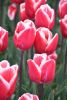 DSC_7329.thumb.JPG.ef7cfe8ea4283598e8046e04df536529.JPG