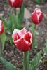 DSC_7368.thumb.JPG.cdff8322cd3a24eb59588b24947e80dc.JPG