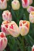 DSC_7376.thumb.JPG.b5c7cb7314e8df3978190ccfcafd1cb5.JPG