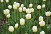 DSC_7412.thumb.JPG.3df24414e83bbe2d64347c925247a873.JPG