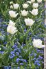 DSC_7438.thumb.JPG.31e3a6253475cf686c0679421c124b0a.JPG