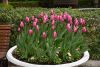 DSC_7439.thumb.JPG.b5a8faa5a9f84150dcb8b5a9a36cd858.JPG