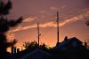 DSC_7662.thumb.JPG.0ba3df6d4ae637dd23d55320d5660852.JPG