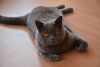 DSC_7686.thumb.JPG.93422a63294635e56ab99d5f0789801e.JPG