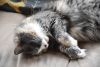 DSC_7710.thumb.JPG.0f6084c89af7ea602b0af8b7a49d4dc4.JPG