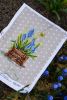 DSC_7718.thumb.jpg.da9b4cd61b45a103531337a51ad588b7.jpg
