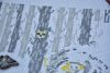 DSC_7719.thumb.JPG.377cb5983239ffaaf70788c9af1e1647.JPG