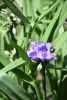 DSC_7768.thumb.JPG.d01441d0102b251ac9593bd5d264f0b8.JPG