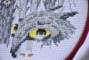 DSC_7777.thumb.JPG.de820ba5e2d55468bcfa6762ac4d923b.JPG