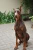 DSC_7834.thumb.JPG.41898f1a0e5e814274629a624cc25535.JPG
