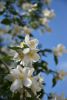 DSC_7905.thumb.JPG.7092a1e9c268597015b153f9563967cd.JPG
