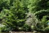 DSC_7953.thumb.JPG.a3e2e521e533634bbc64117eae783632.JPG