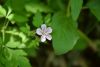 DSC_7968.thumb.JPG.6351096afafbbdcb579cbe482c913927.JPG
