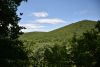 DSC_7976.thumb.JPG.82bd7a8a62d0cdb395cb7375251be3ca.JPG