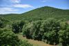 DSC_7978.thumb.JPG.9437db82a5e9a84ab5302d4ed8751078.JPG