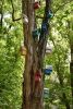 DSC_7984.thumb.JPG.40c37b33fa0f133aabfed4ccf9d8bee5.JPG