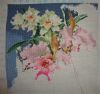 ExoticFlowers7.JPG.f60a3e18f99043b23b8bc462119ce0c1.thumb.jpg.43288cb033587cf3fd008b858a7480dd.jpg