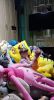 IMG-20220512-WA0035.thumb.jpg.f43e2ae5efda3481092a975af66114dc.jpg