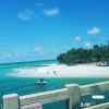 IMG-20220529-WA0000.thumb.jpg.1cdaa68df64827d19dab52c043128d20.jpg
