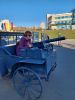 IMG-7a9361311b4fc5d0593e5f4b131b41db-V.thumb.jpg.5a5373bd015bd49cc06ce9629df2d190.jpg