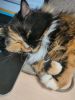 IMG20220506092747.jpg