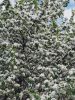 IMG20220514162802.thumb.jpg.44f6da23f3e0b4b8c7ecacaa95fa89a2.jpg