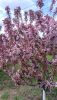 IMG20220515115425.thumb.jpg.ea69089441df59c96f6d933d619cde46.jpg