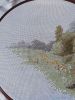 IMG20220520130307.thumb.jpg.d06b61bf5713fdd0a5eebf51336ac16e.jpg