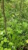 IMG20220527095811.thumb.jpg.8cd335c9b8dd14e0b39b82fb6b365929.jpg