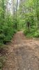 IMG20220527100625.thumb.jpg.c33d275990052ed4a761ac4293fecb79.jpg