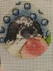 IMG_20220415_011757.thumb.jpg.dee6c06dc6196b51683a13c01c81ec72.jpg