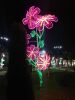 IMG_20220419_202932.thumb.jpg.1025b71f4b5b5a0f272eda382d8dd85a.jpg