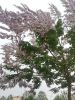 IMG_20220421_162012.thumb.jpg.06298900cd0c4e5984546e9aea913fbe.jpg